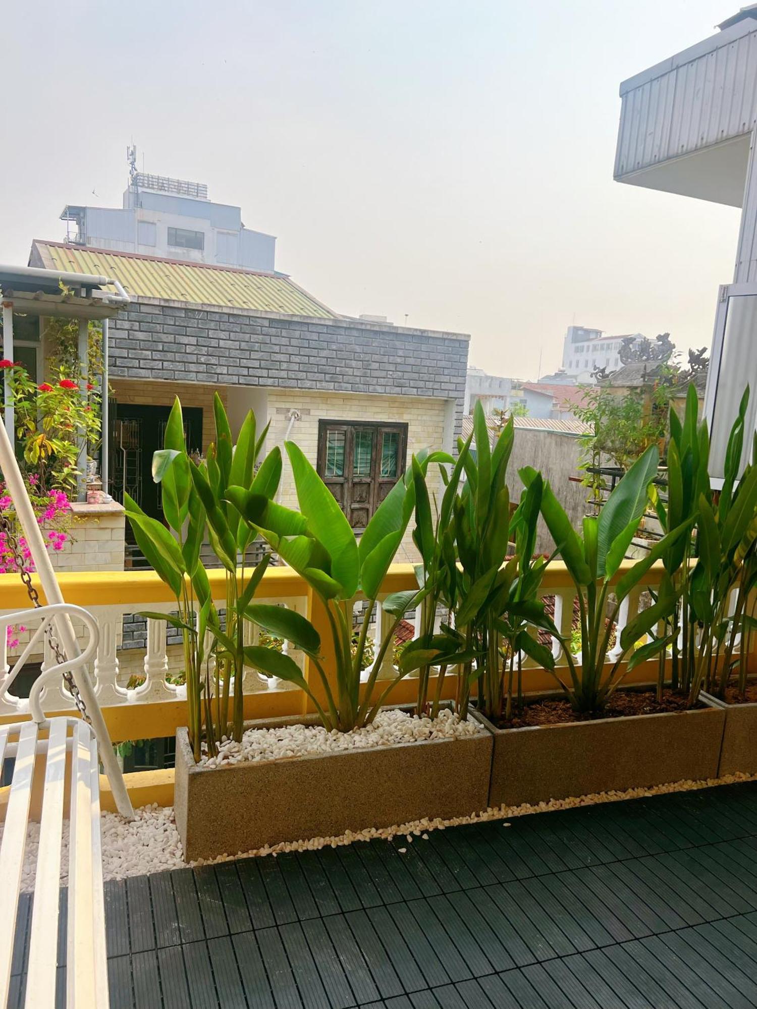 Neko Homestay フエ エクステリア 写真